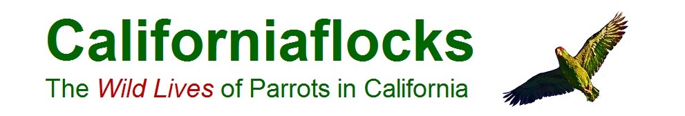 California Flocks