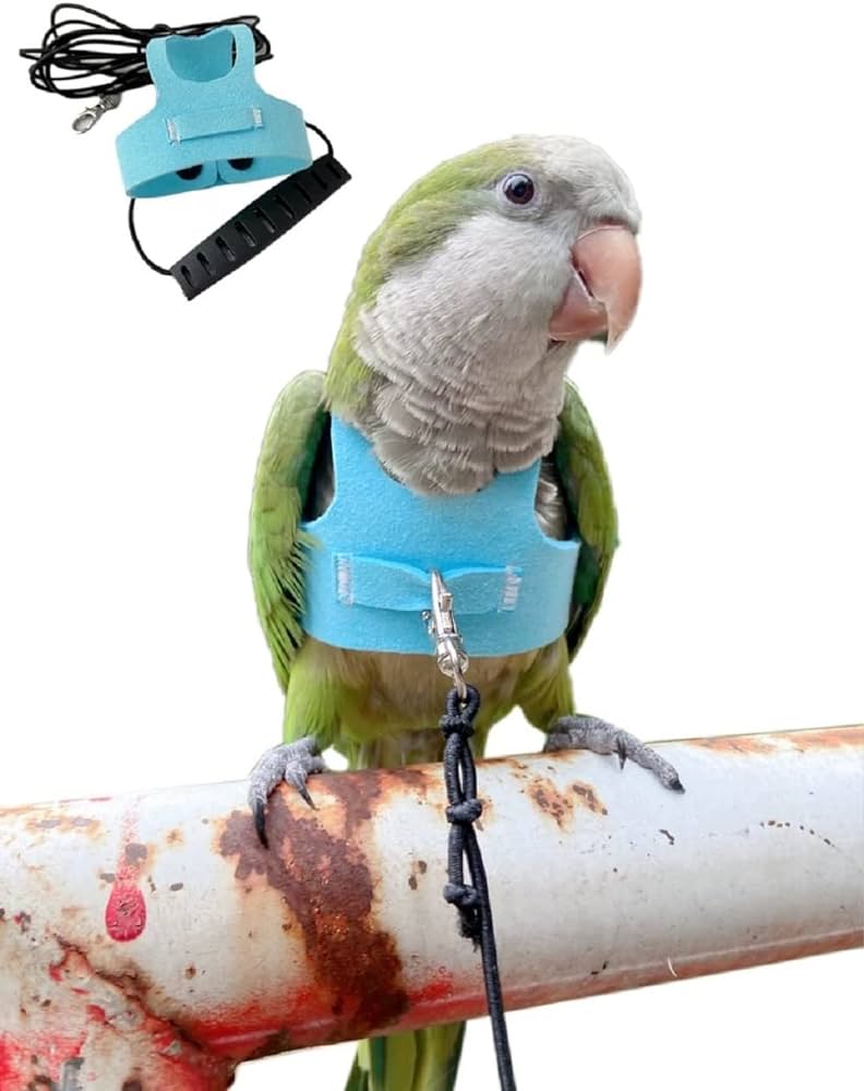 How to Make a Bird Harness