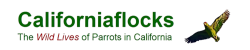 californiaflocks.org