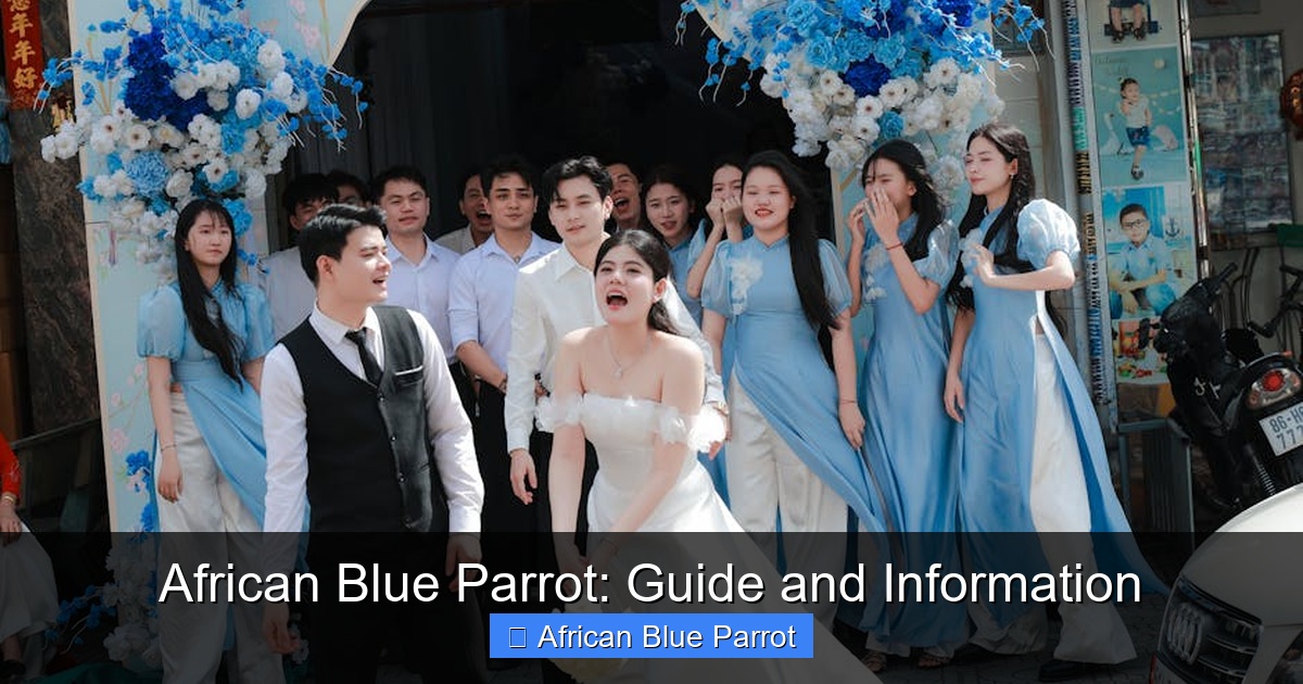 Featured image for African Blue Parrot: Guide and Information