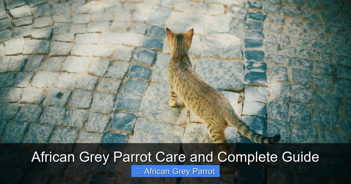 Featured image for African Grey Parrot Care and Complete Guide