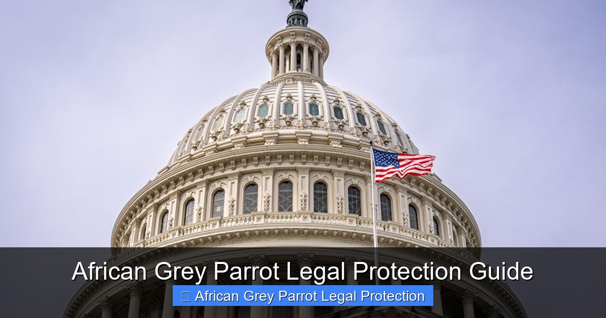 Featured image for African Grey Parrot Legal Protection Guide