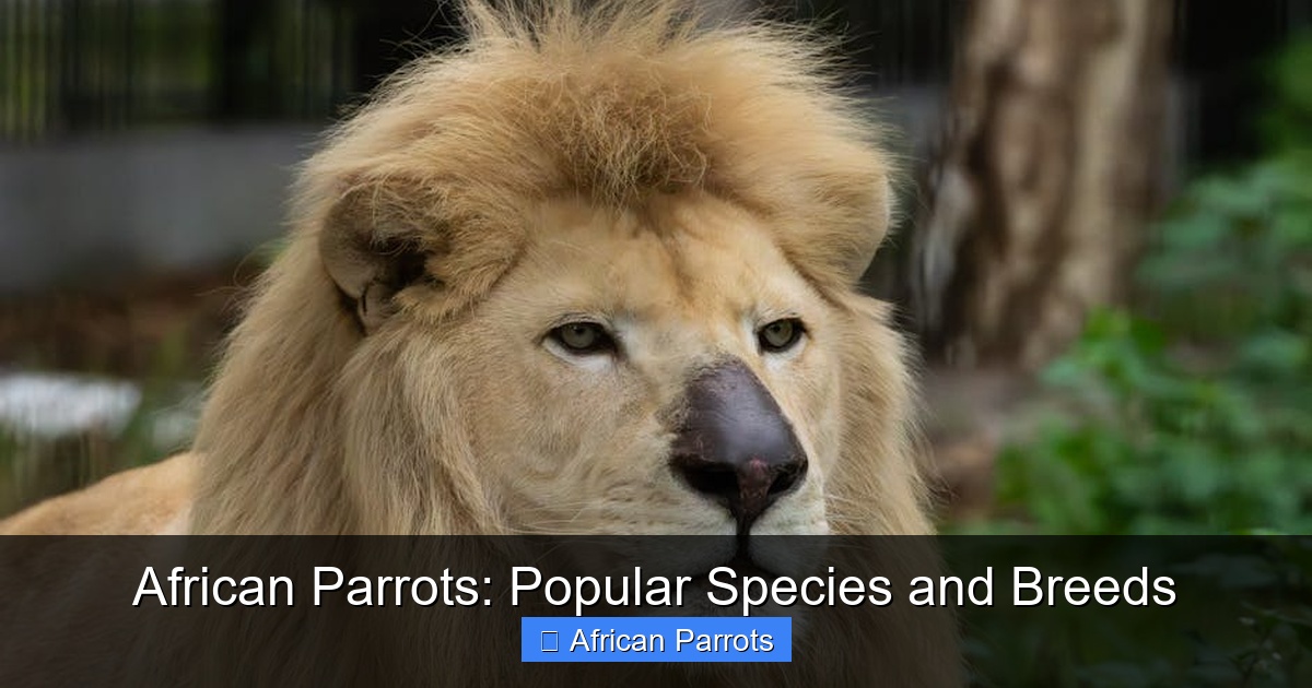 Featured image for African Parrots: Popular Species and Breeds