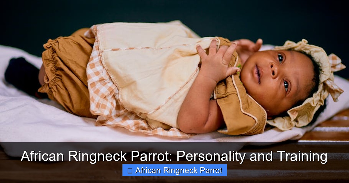 Featured image for African Ringneck Parrot: Personality and Training