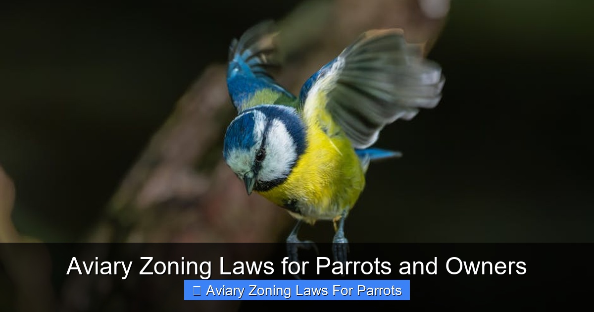 Featured image for Aviary Zoning Laws for Parrots and Owners