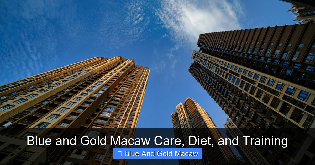 Featured image for Blue and Gold Macaw Care, Diet, and Training