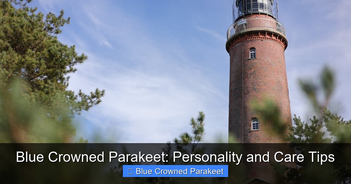 Featured image for Blue Crowned Parakeet: Personality and Care Tips