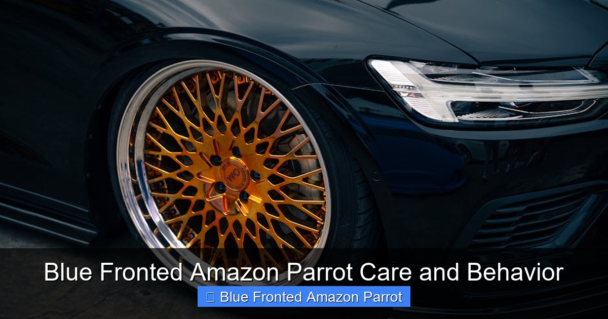 Featured image for Blue Fronted Amazon Parrot Care and Behavior