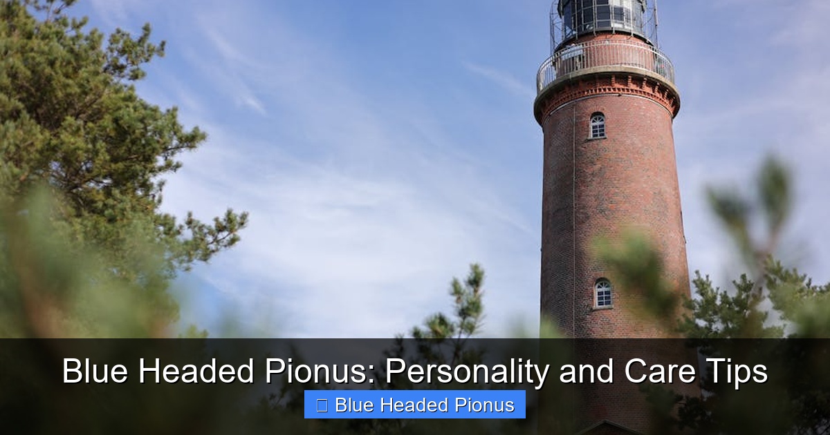 Featured image for Blue Headed Pionus: Personality and Care Tips