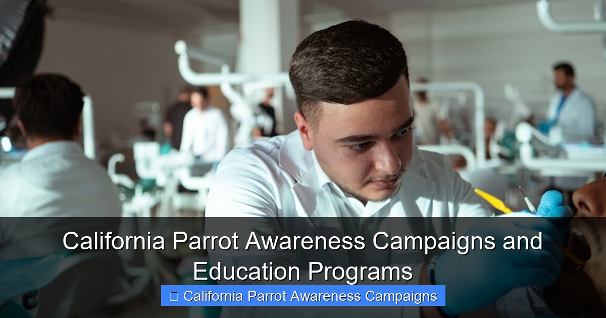 Featured image for California Parrot Awareness Campaigns and Education Programs