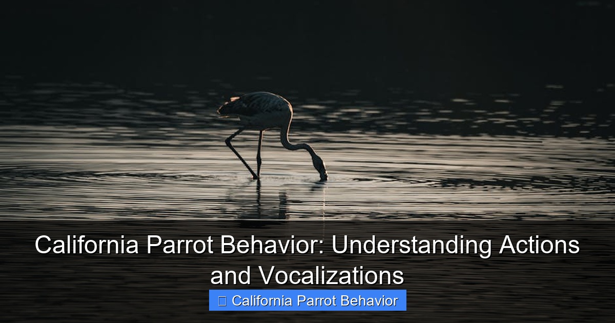 California Parrot Behavior: Understanding Actions and Vocalizations