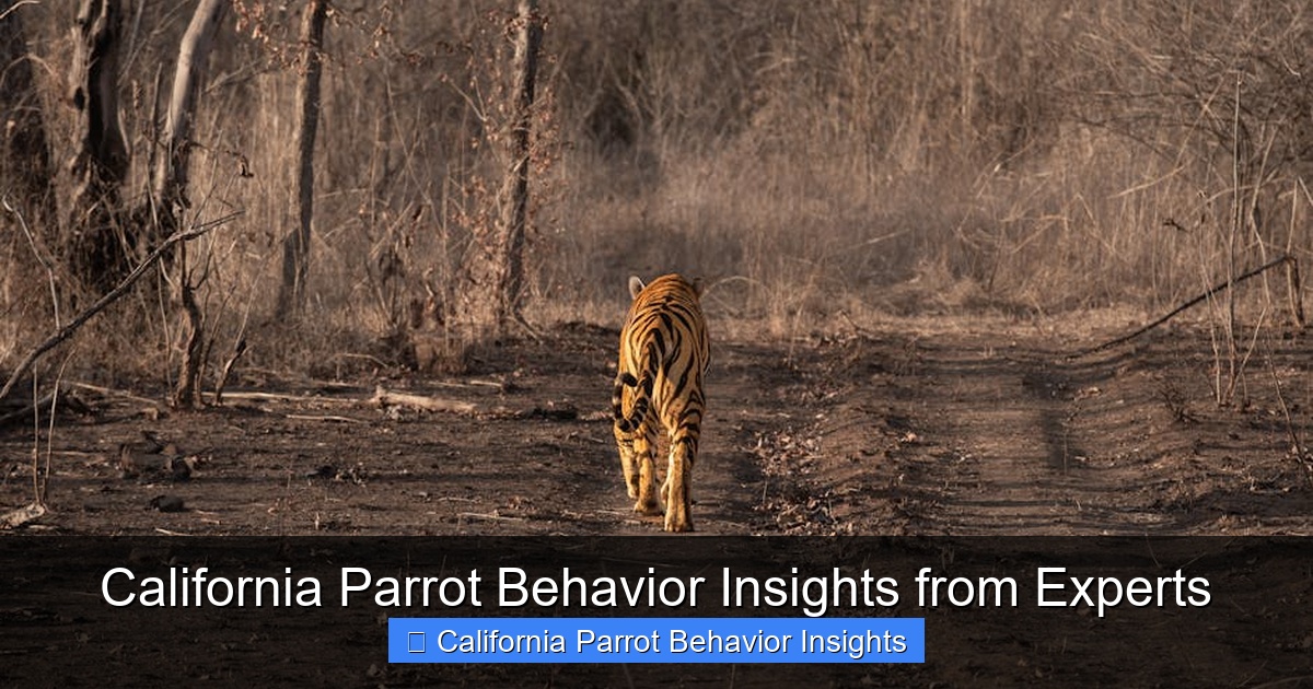 Featured image for California Parrot Behavior Insights from Experts