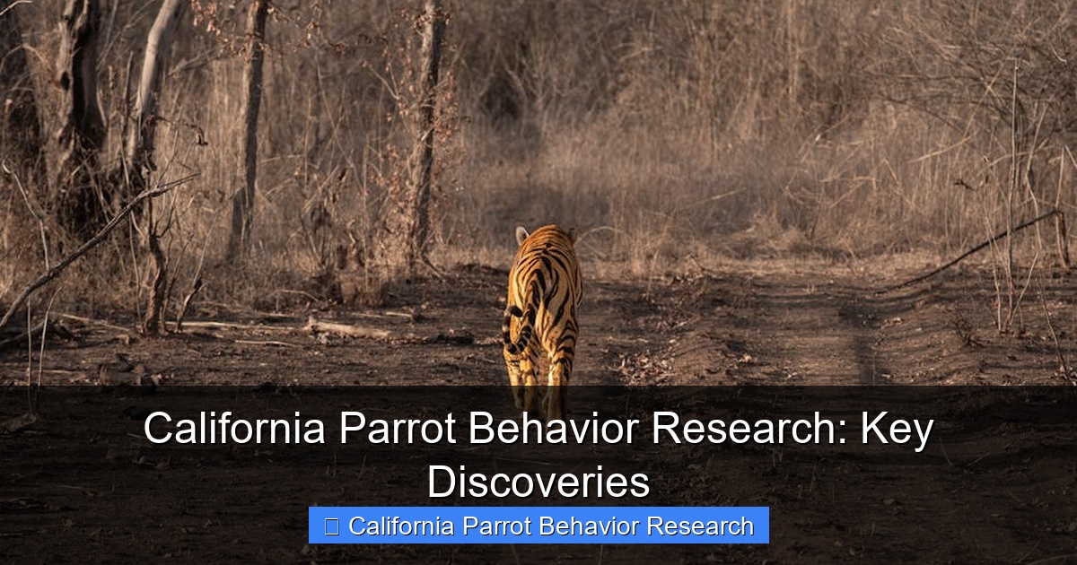 Featured image for California Parrot Behavior Research: Key Discoveries