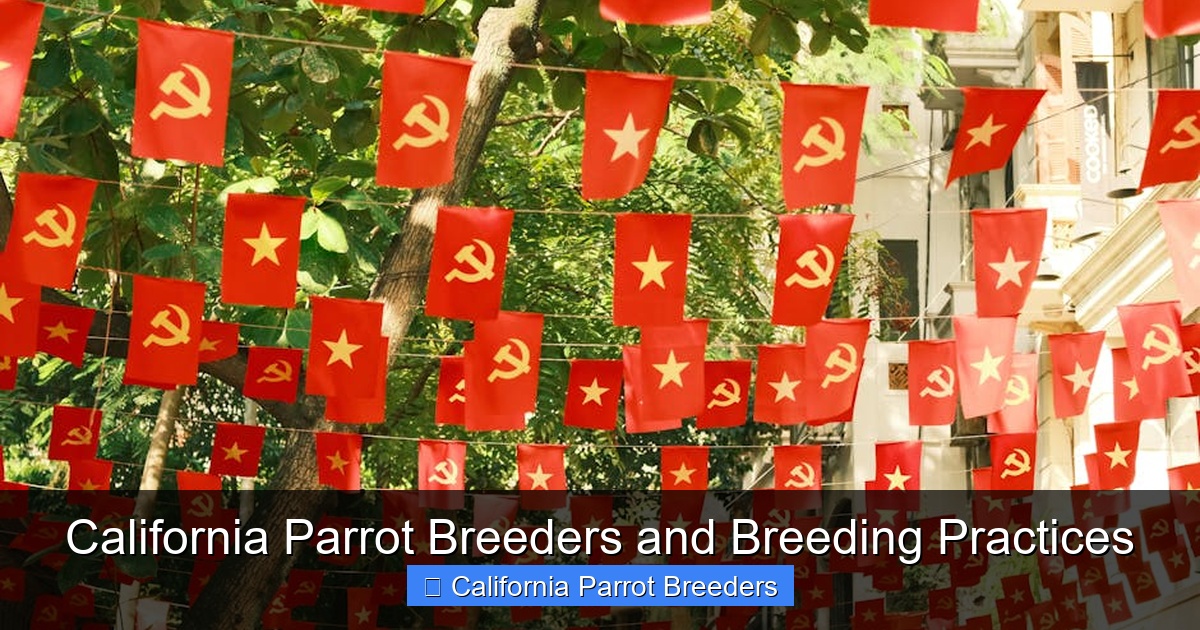 Featured image for California Parrot Breeders and Breeding Practices