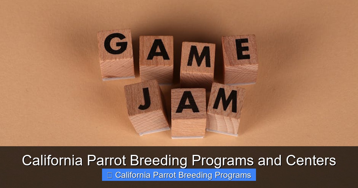 Featured image for California Parrot Breeding Programs and Centers