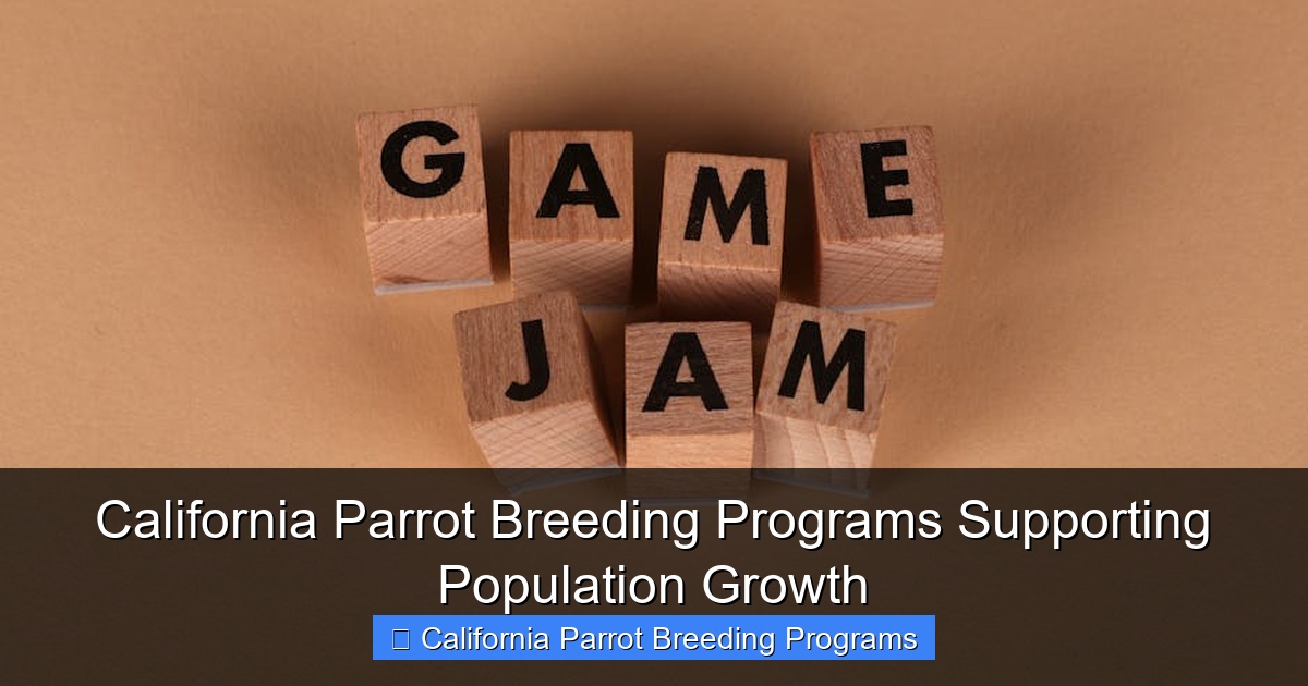 Featured image for California Parrot Breeding Programs Supporting Population Growth