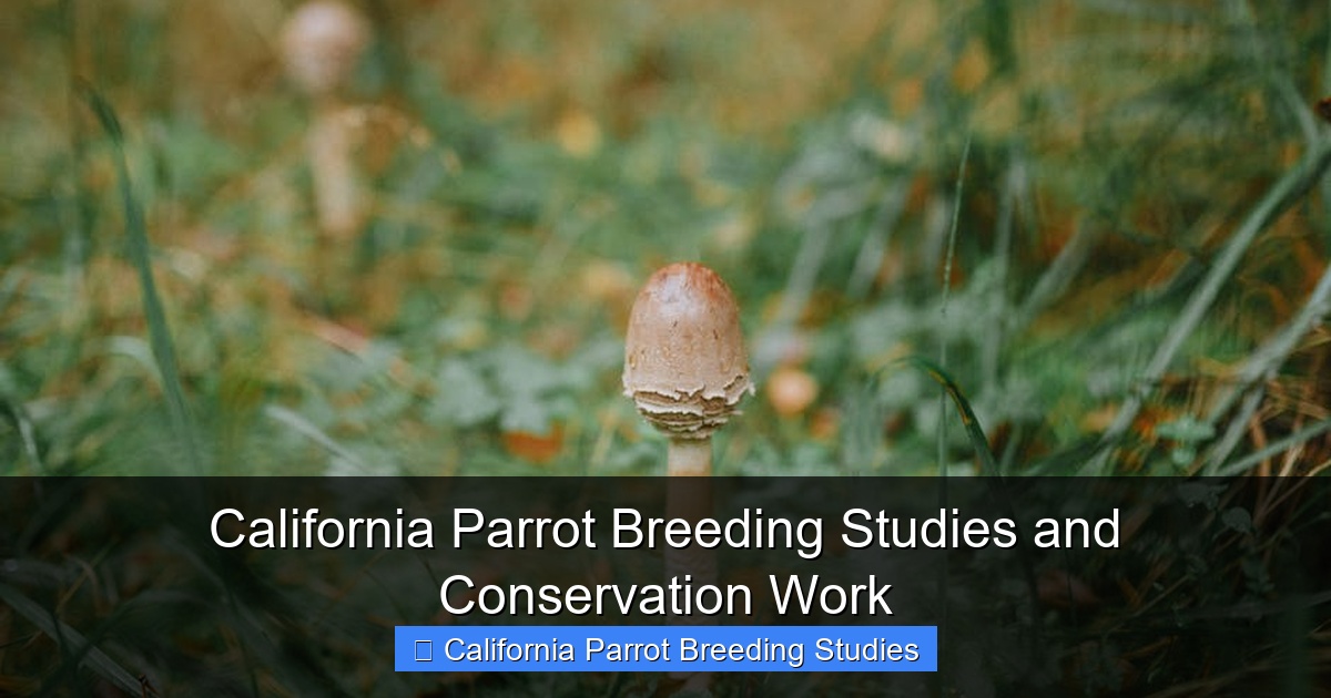 Featured image for California Parrot Breeding Studies and Conservation Work
