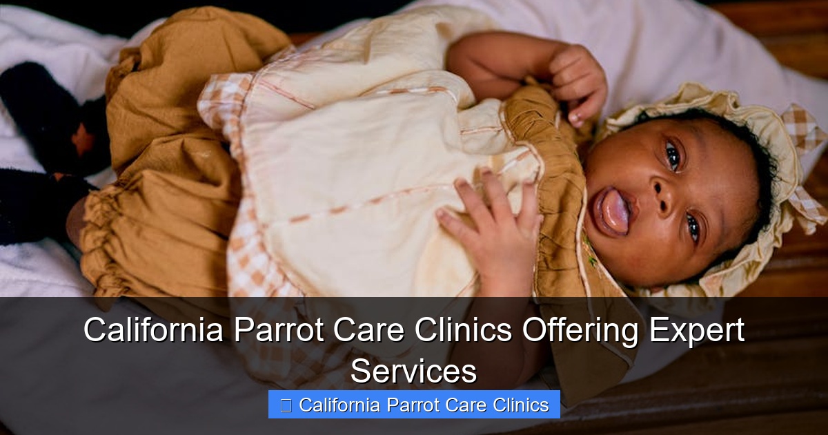 Featured image for California Parrot Care Clinics Offering Expert Services