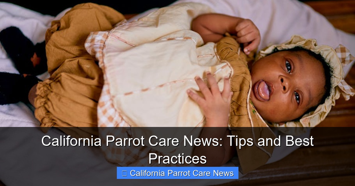 Featured image for California Parrot Care News: Tips and Best Practices