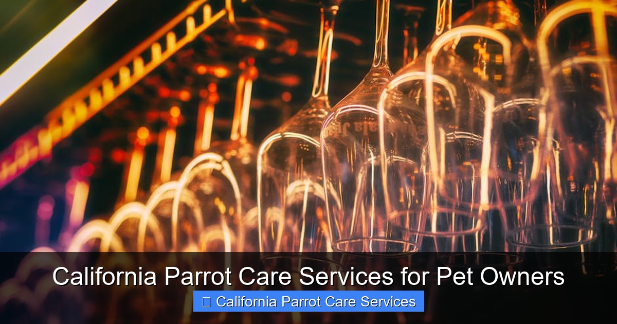 Featured image for California Parrot Care Services for Pet Owners