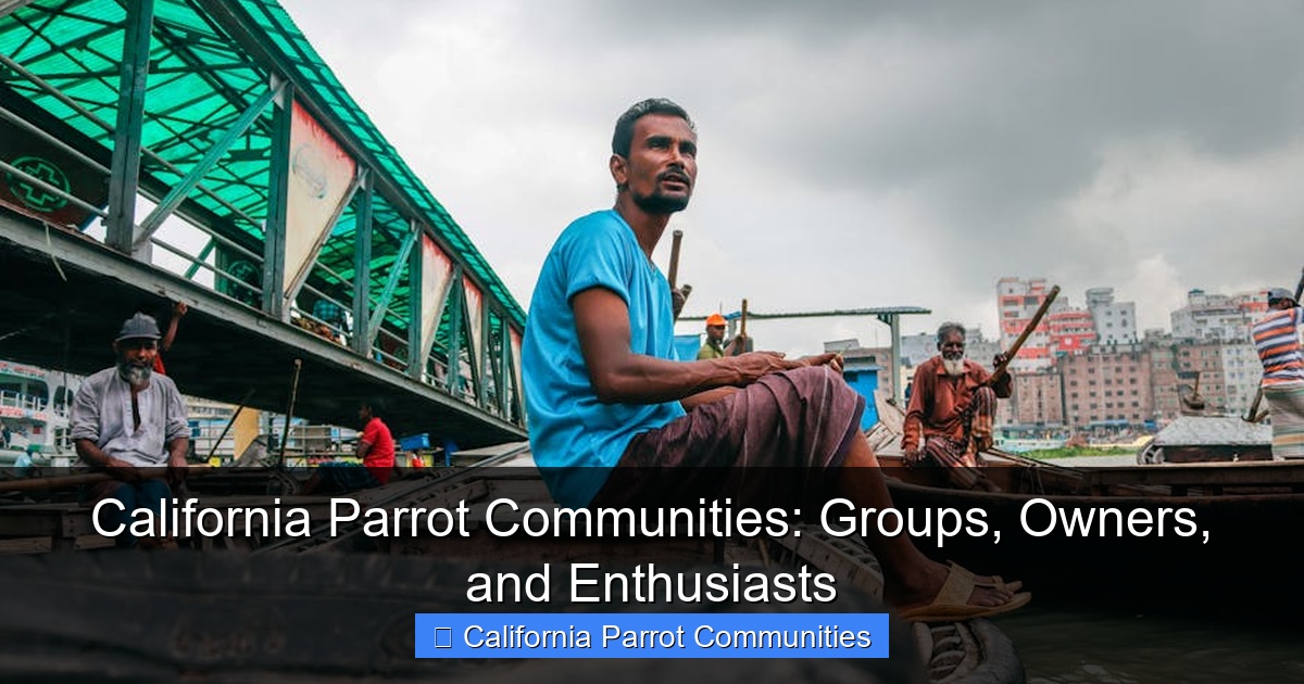 California Parrot Communities: Groups, Owners, and Enthusiasts