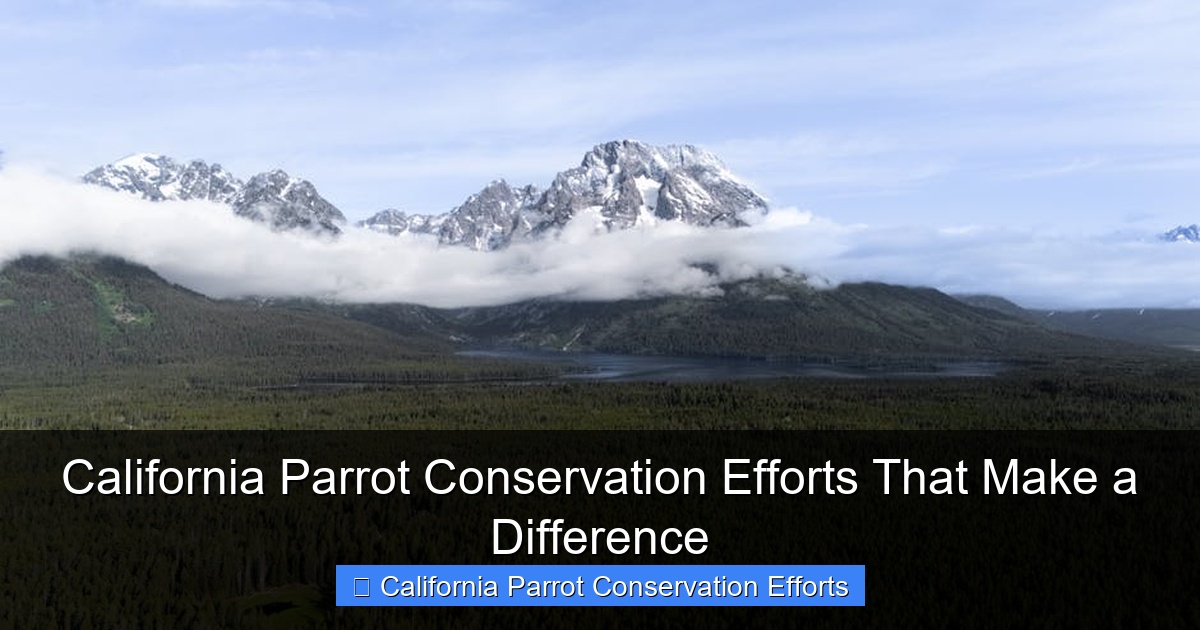 Featured image for California Parrot Conservation Efforts That Make a Difference