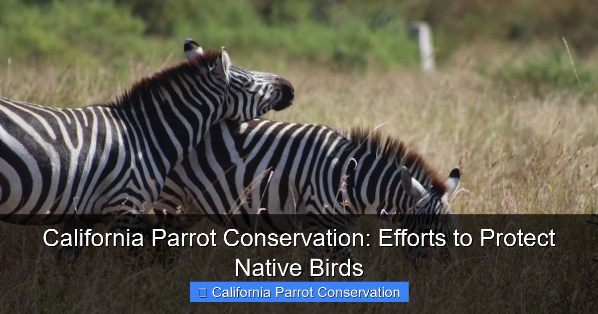 California Parrot Conservation: Efforts to Protect Native Birds