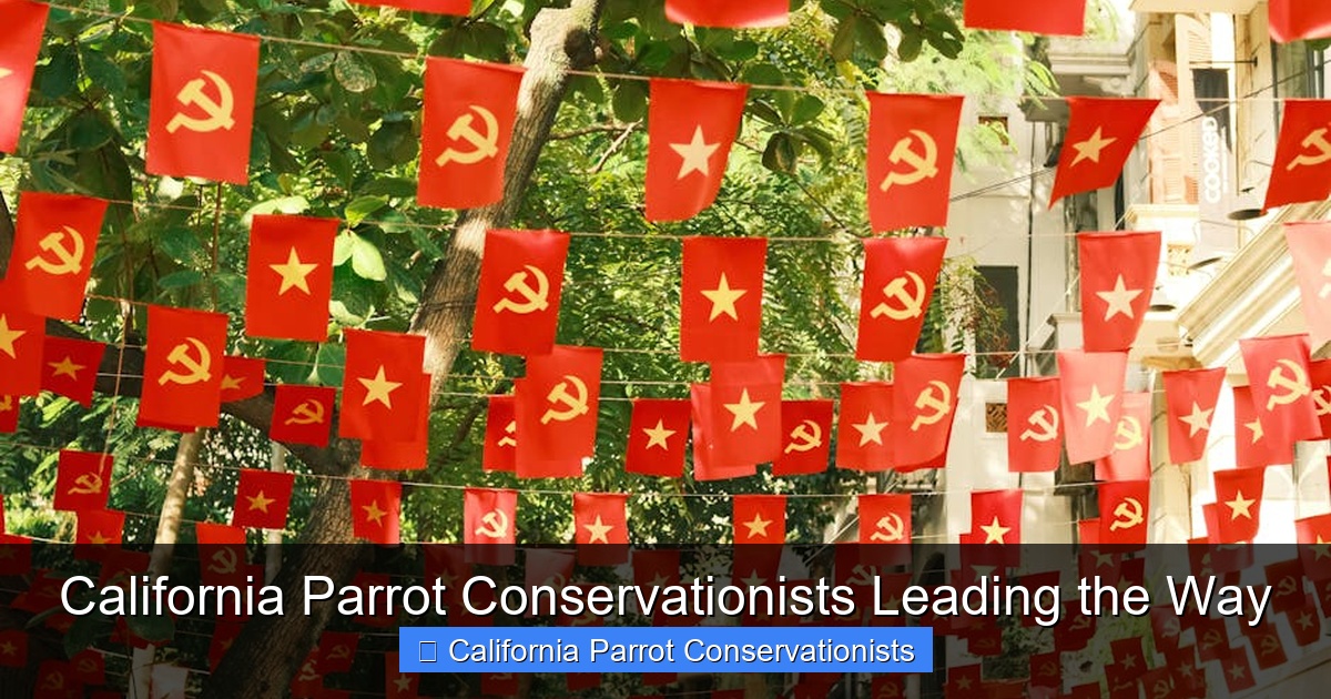 Featured image for California Parrot Conservationists Leading the Way