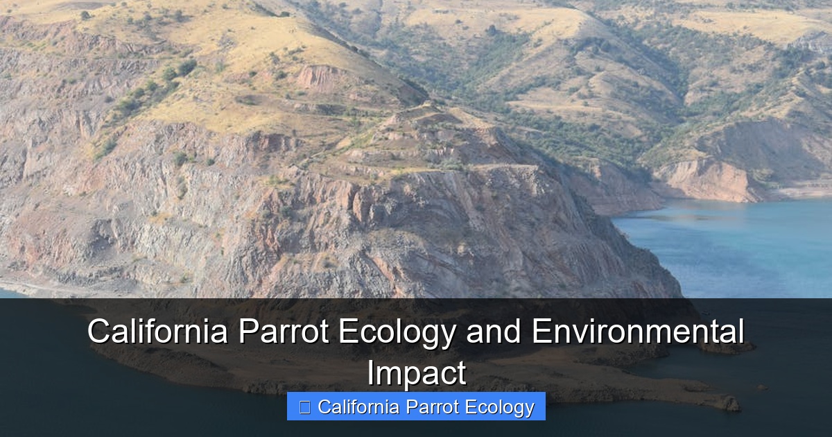 Featured image for California Parrot Ecology and Environmental Impact