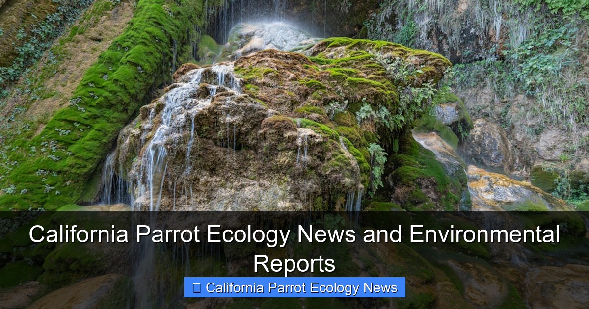 Featured image for California Parrot Ecology News and Environmental Reports