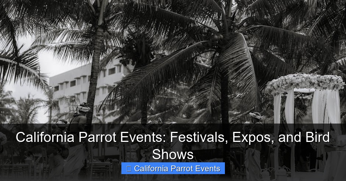 California Parrot Events: Festivals, Expos, and Bird Shows
