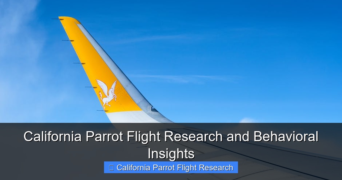 Featured image for California Parrot Flight Research and Behavioral Insights