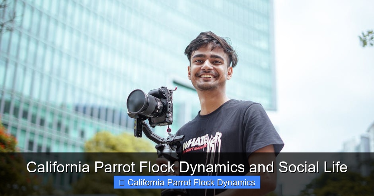 Featured image for California Parrot Flock Dynamics and Social Life