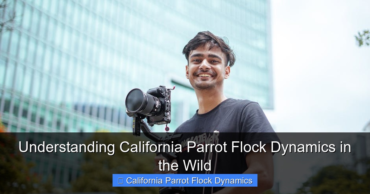 Featured image for Understanding California Parrot Flock Dynamics in the Wild