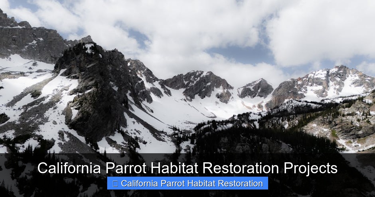 Featured image for California Parrot Habitat Restoration Projects