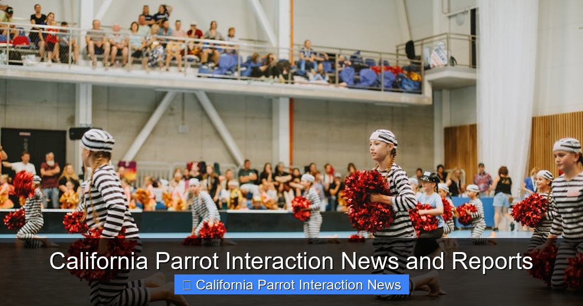Featured image for California Parrot Interaction News and Reports