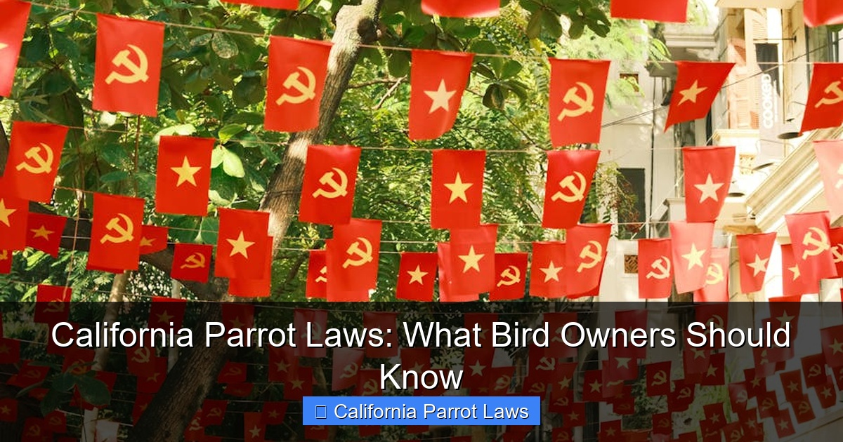Featured image for California Parrot Laws: What Bird Owners Should Know