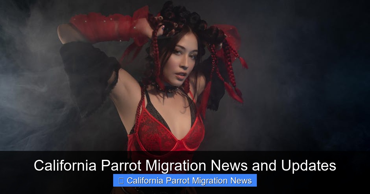 Featured image for California Parrot Migration News and Updates