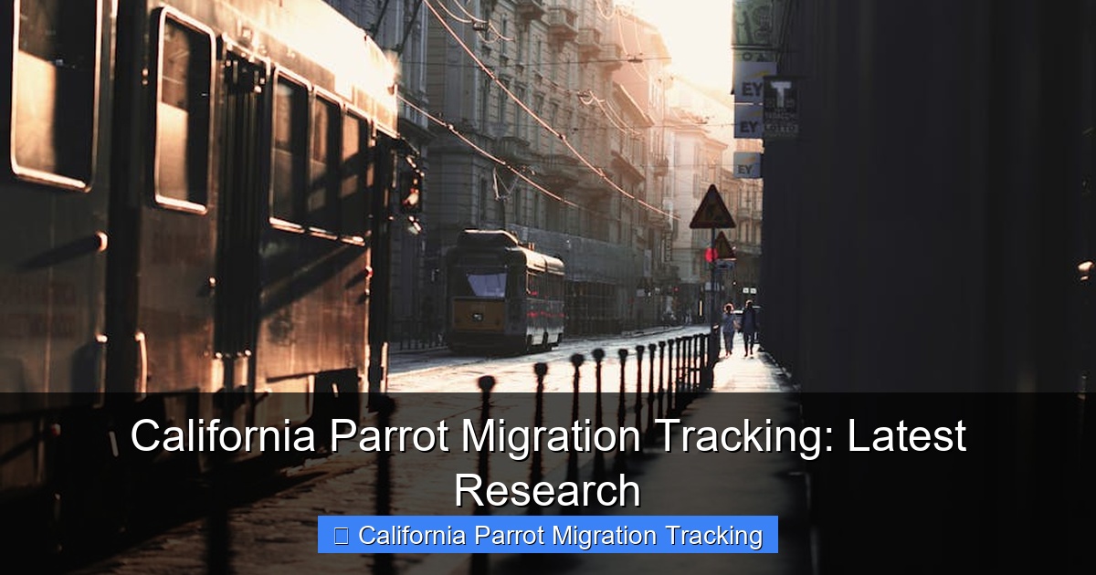 Featured image for California Parrot Migration Tracking: Latest Research