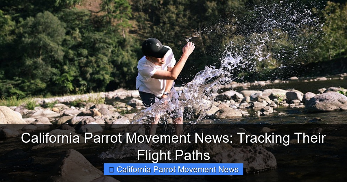 Featured image for California Parrot Movement News: Tracking Their Flight Paths
