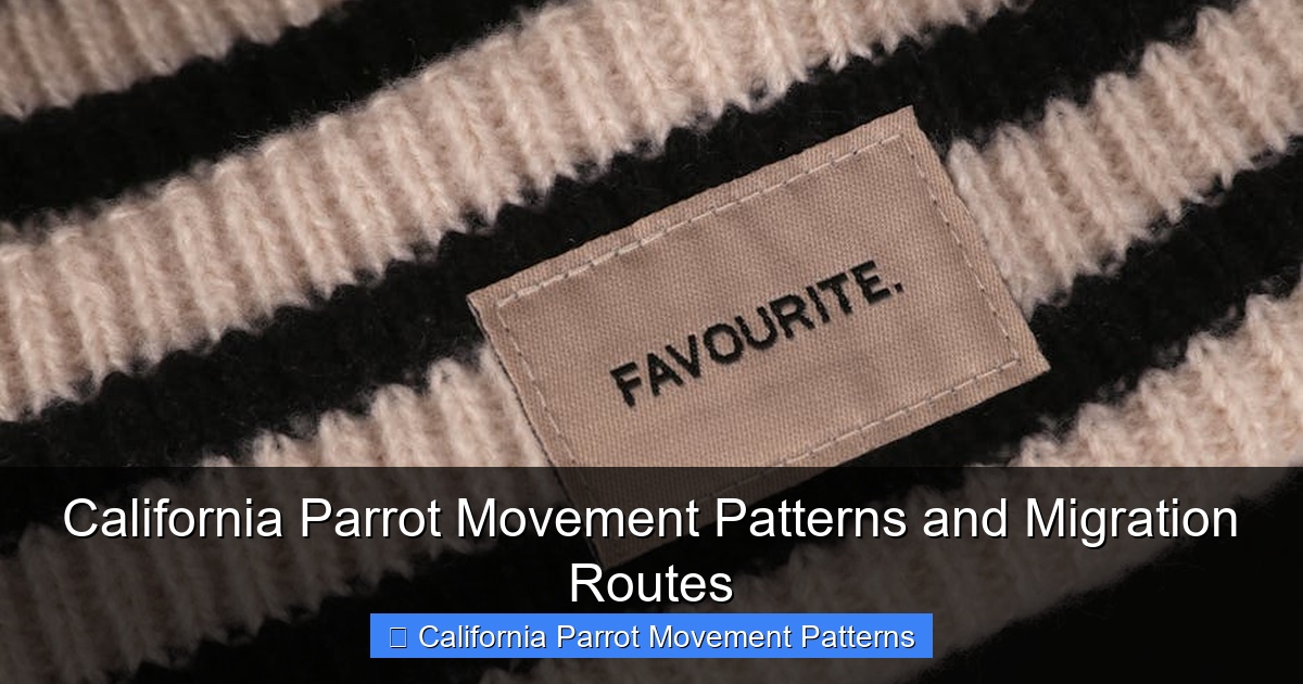 Featured image for California Parrot Movement Patterns and Migration Routes
