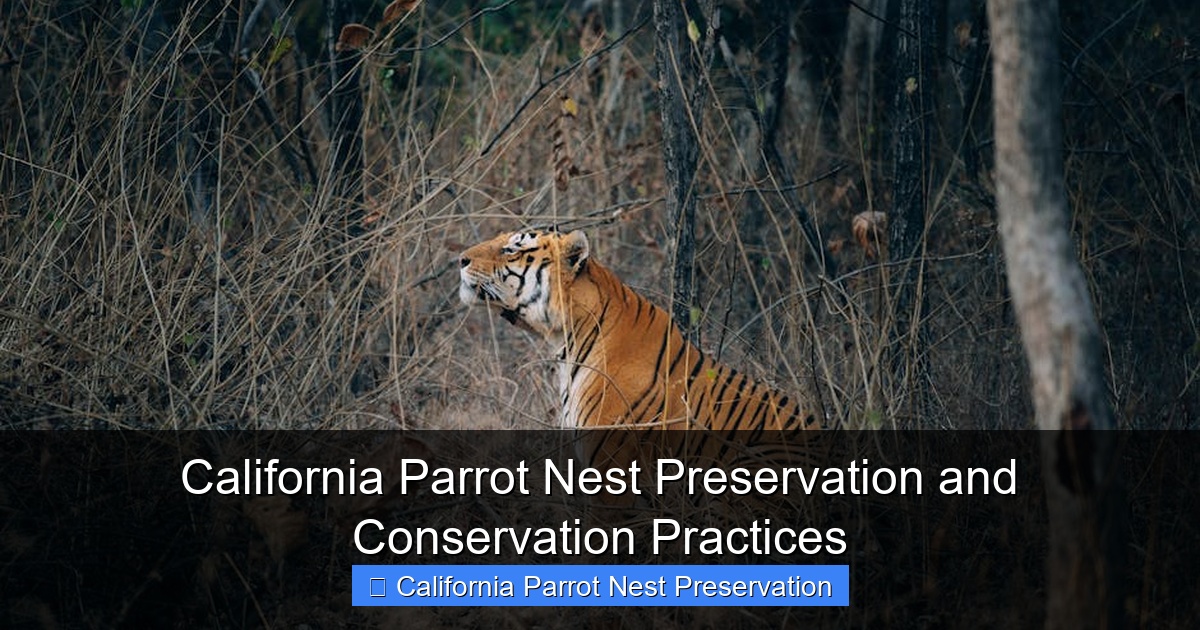 Featured image for California Parrot Nest Preservation and Conservation Practices