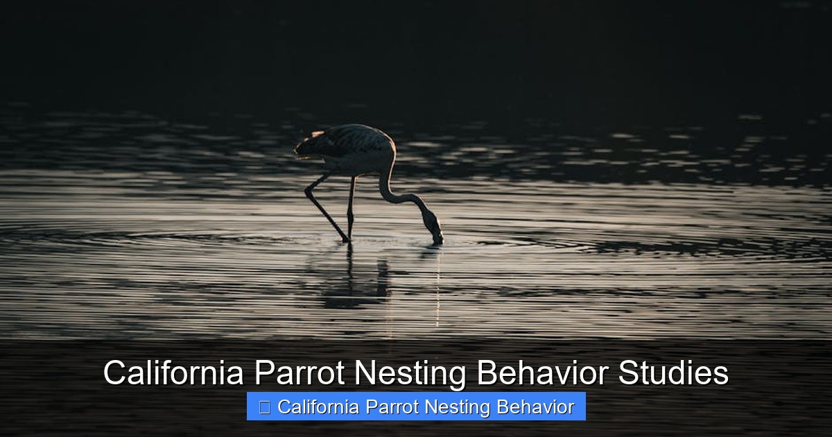 Featured image for California Parrot Nesting Behavior Studies