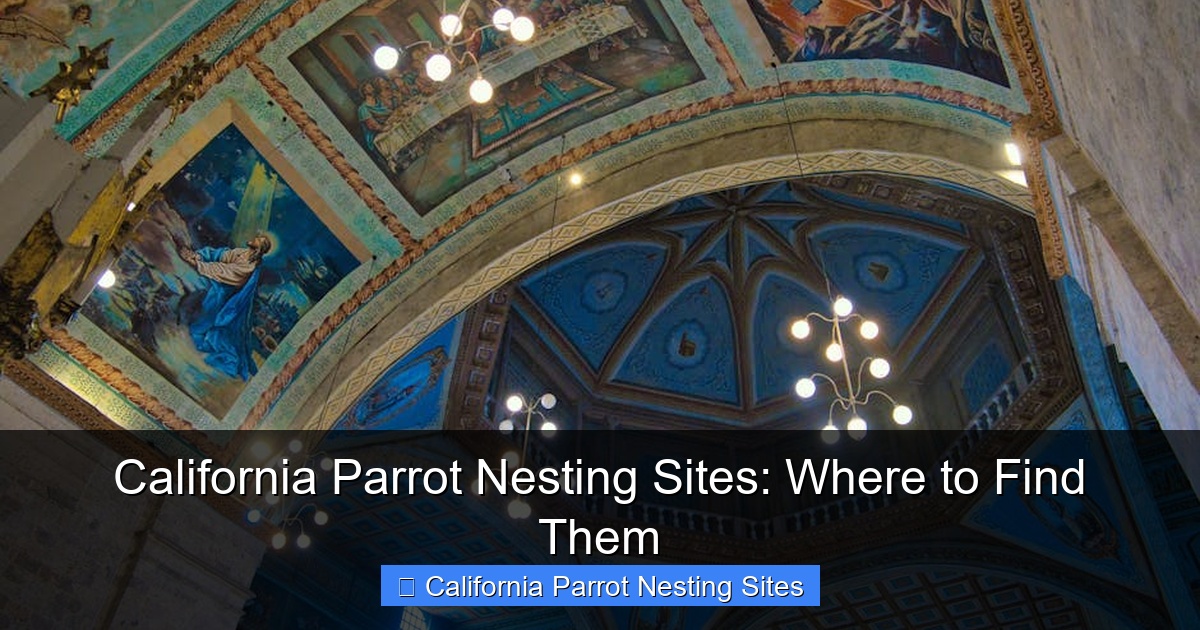 Featured image for California Parrot Nesting Sites: Where to Find Them