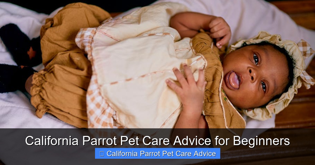 Featured image for California Parrot Pet Care Advice for Beginners