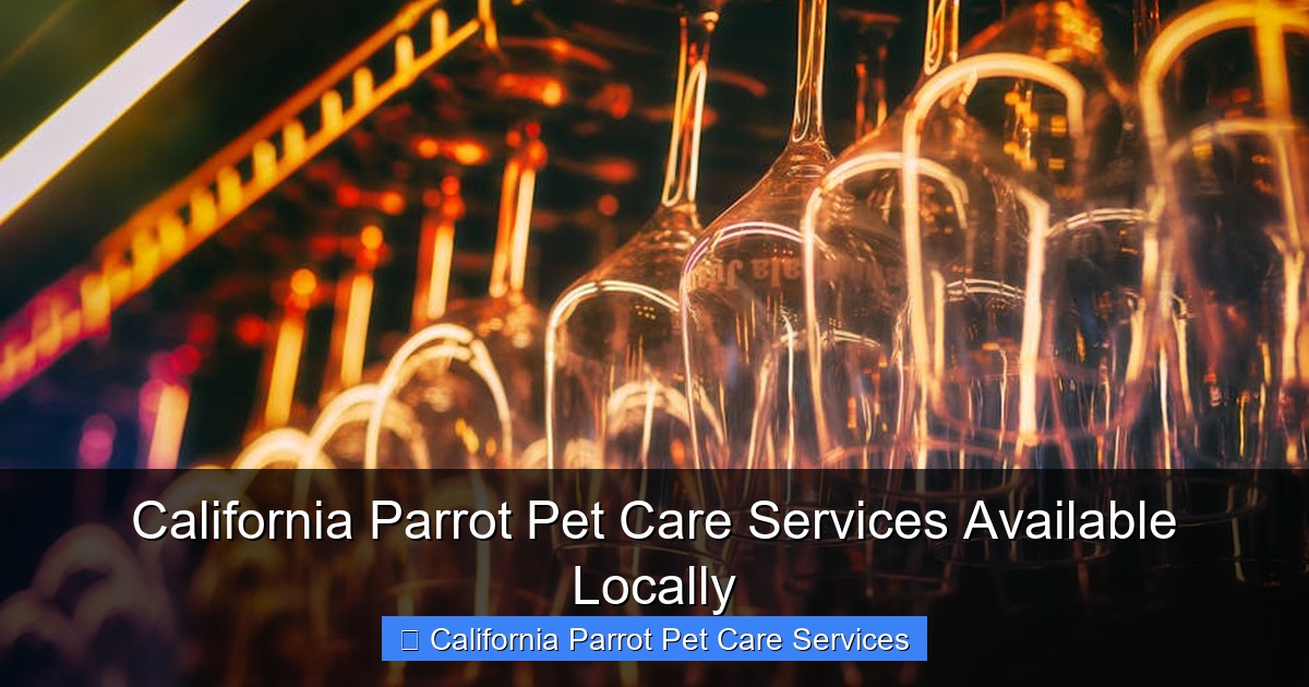 Featured image for California Parrot Pet Care Services Available Locally