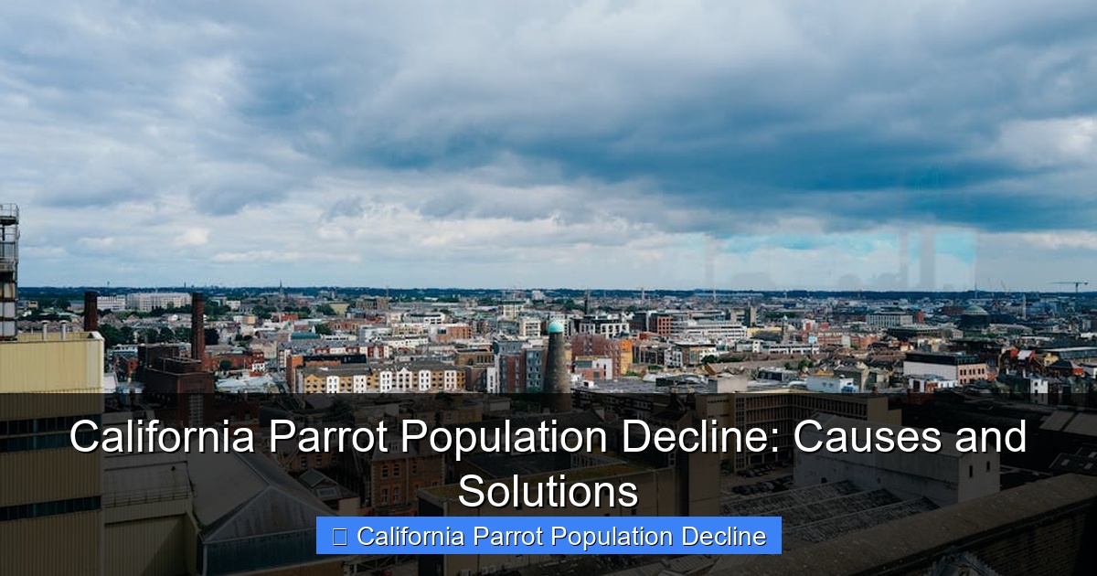 Featured image for California Parrot Population Decline: Causes and Solutions