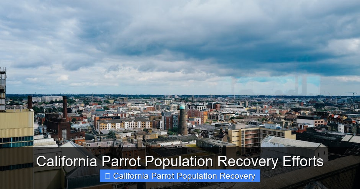 Featured image for California Parrot Population Recovery Efforts