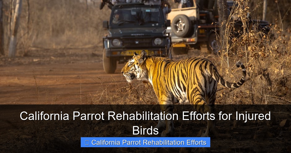 Featured image for California Parrot Rehabilitation Efforts for Injured Birds