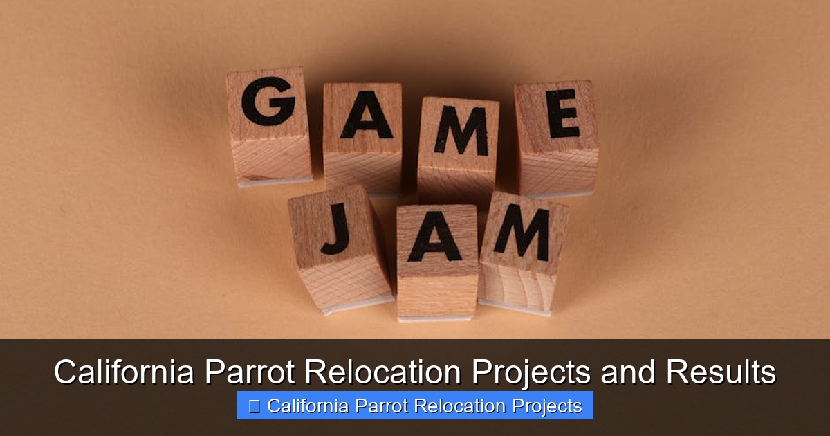 Featured image for California Parrot Relocation Projects and Results